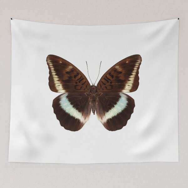 Item preview, brown Nymphalidae butterfly designed and sold by paulrommer.