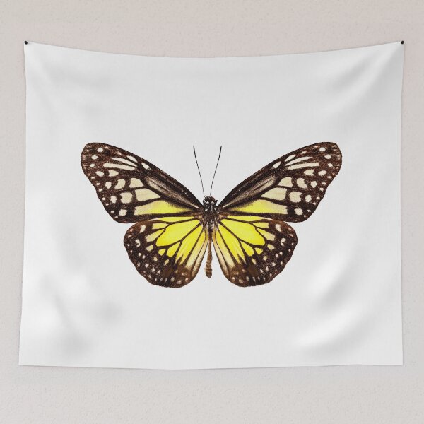 Item preview, Butterfly species Parantica aspasia common name "Yellow Glassy Tiger" designed and sold by paulrommer.