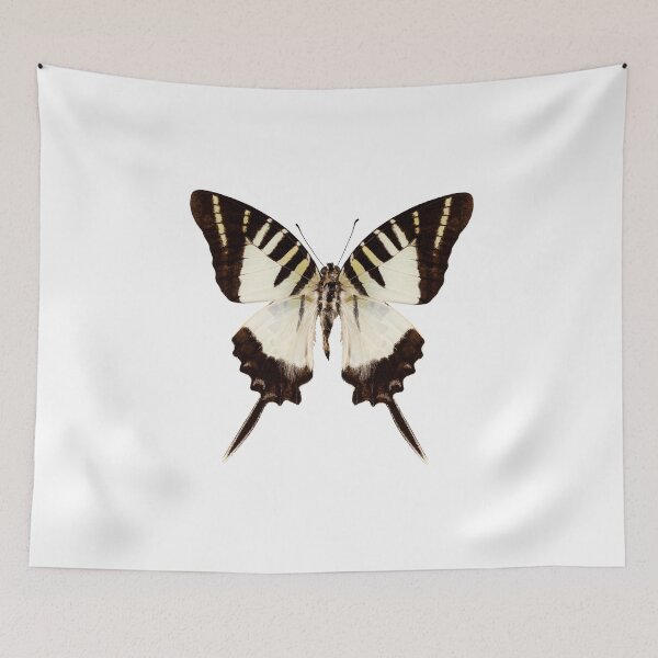 Item preview, Butterfly species graphium decolor atratus designed and sold by paulrommer.
