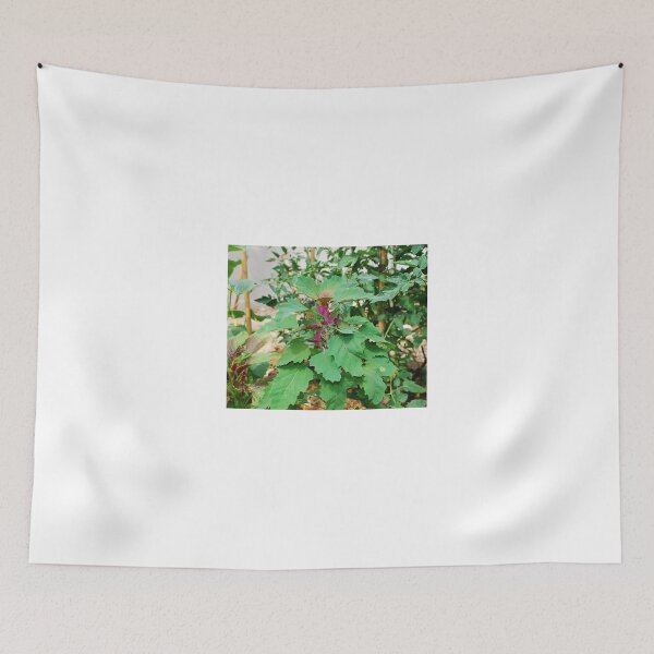 Item preview, Tree Spinach designed and sold by jojobob.