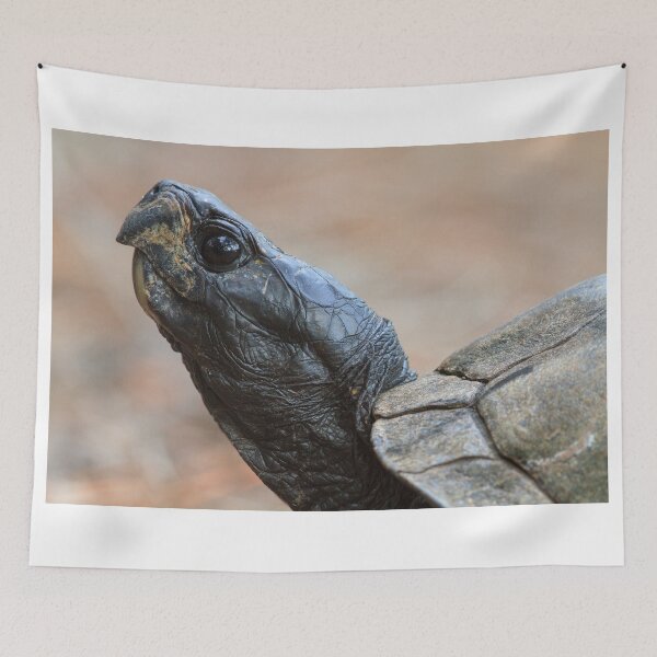 Item preview, Tortoise Profile designed and sold by WorldDesign.