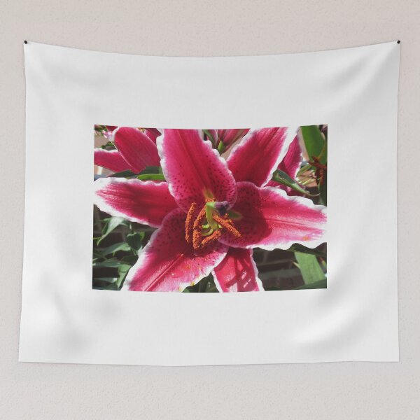 Item preview, Sock it to 'em, Baby! Asiatic Lily Macro designed and sold by Kathryn Jones.