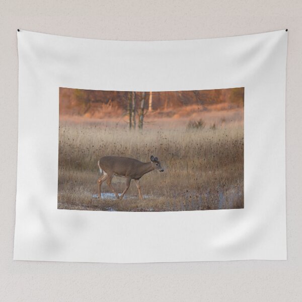Item preview, Sunset Wanderer - White-tailed deer designed and sold by James Cumming.