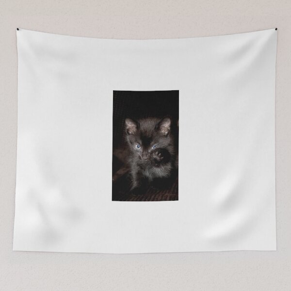 Artikelvorschau, May The Paws Be With You entworfen und verkauft von Ladymoose.