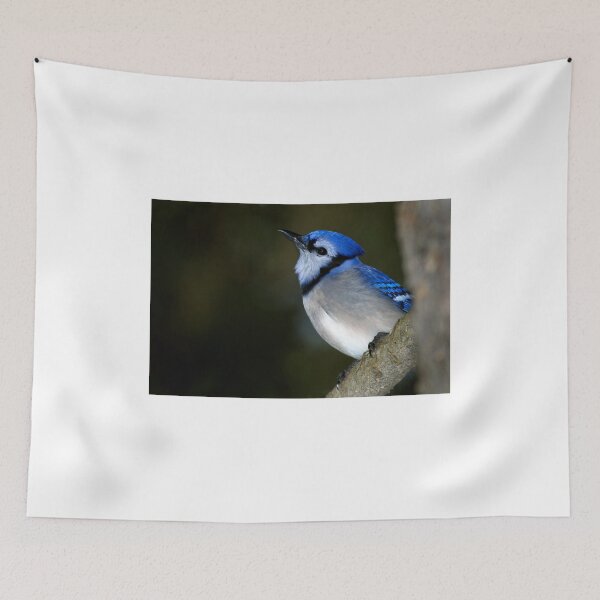 Item preview, Blue Jay designed and sold by Rick Mousseau.
