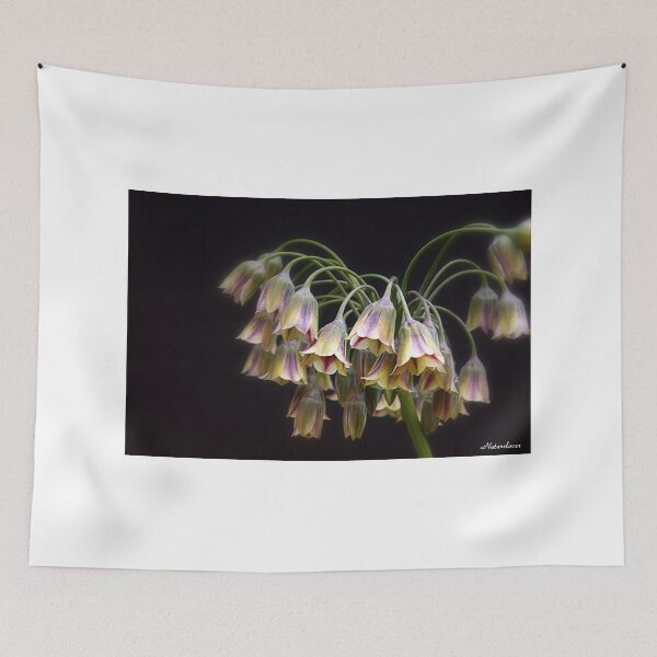 Aperçu de l'œuvre Fairy Bells créée et vendue par naturelover.