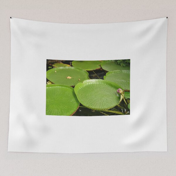 Item preview, Giant Water Lily Leaves designed and sold by lezvee.