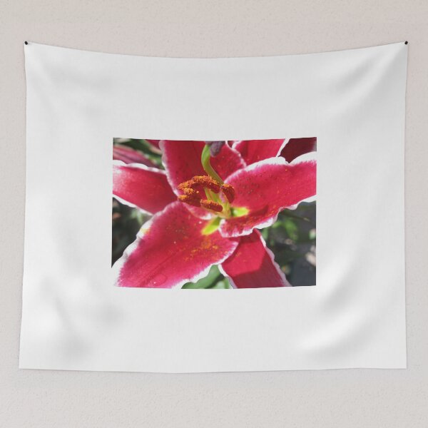 Item preview, Flamboyant Lily Anthers - Macro Untouched designed and sold by Kathryn Jones.