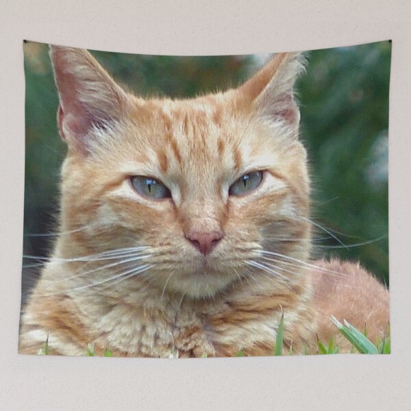 Item preview, Nature Boy designed and sold by Frankie Cat Photography.