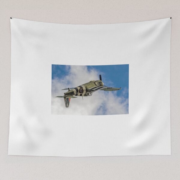 Item preview, FM2 Wildcat V JV579/F G-RUMW inverted designed and sold by Colin Smedley.