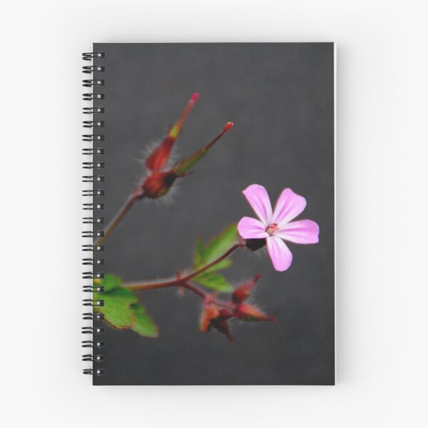 Item preview, Herb Robert (Geranium robertianum) designed and sold by Photography  by Mathilde.