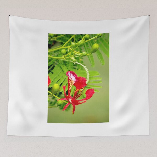 Item preview, Flamboyant Flame  designed and sold by Kerryn Madsen-Pietsch.