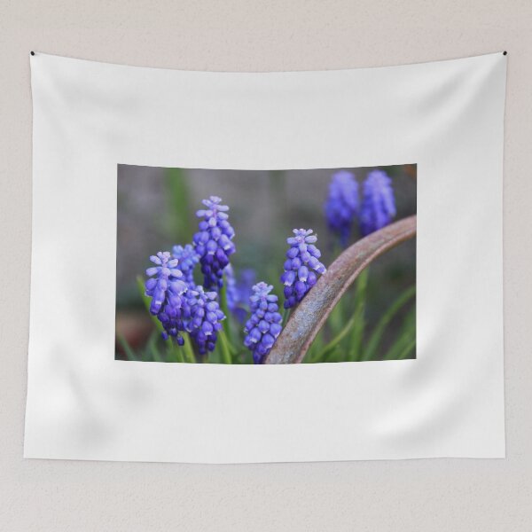 Item preview, Grape Hyacinths designed and sold by coffeebean.