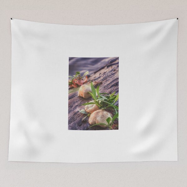 Item preview, Manon on the Charles designed and sold by Owed To Nature.