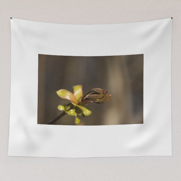 Item preview, New Life in the Forest designed and sold by Georgia Mizuleva.