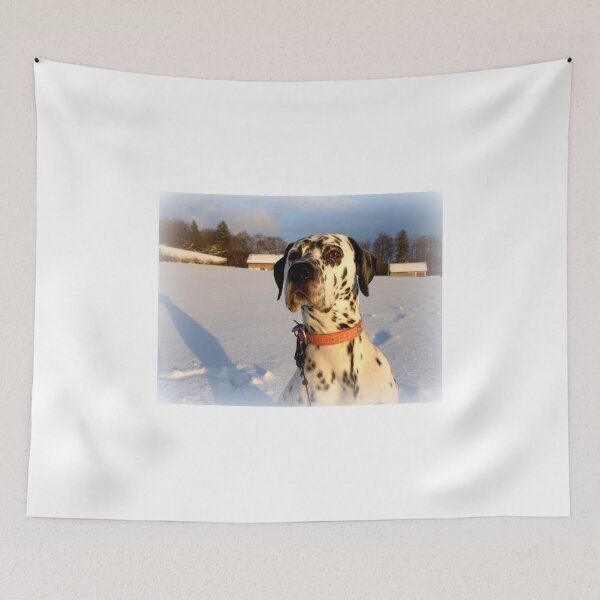Item preview, Julius in the winter sun designed and sold by angel1.