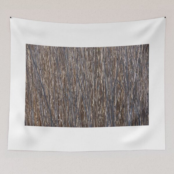 Item preview, Reeds designed and sold by Scott Dovey.