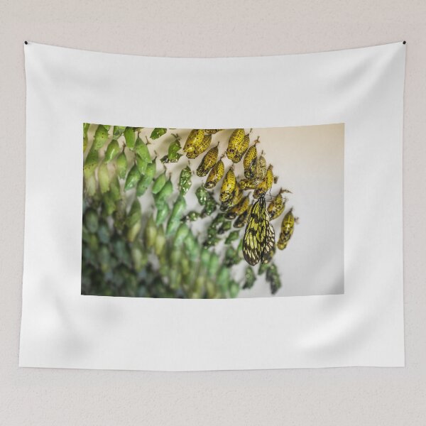 Item preview, Emergence designed and sold by Randy Turnbow.