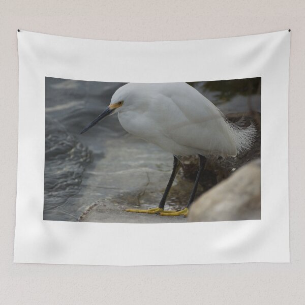 Item preview, Snowy Egret designed and sold by Scott Dovey.