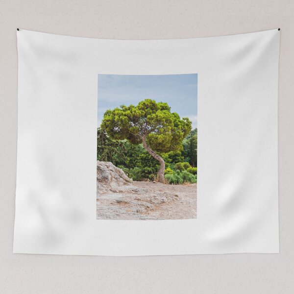 Item preview, Pinus pinea designed and sold by Yevgeni Kacnelson.