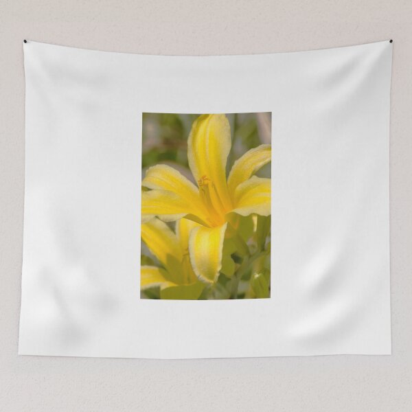 Item preview, Wide Open designed and sold by Diego Re.