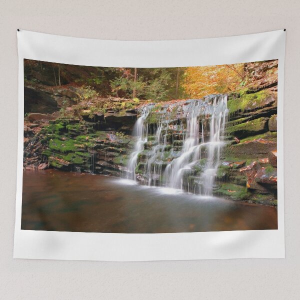Item preview, Dry Fall at Cayuga Falls designed and sold by Gene Walls.