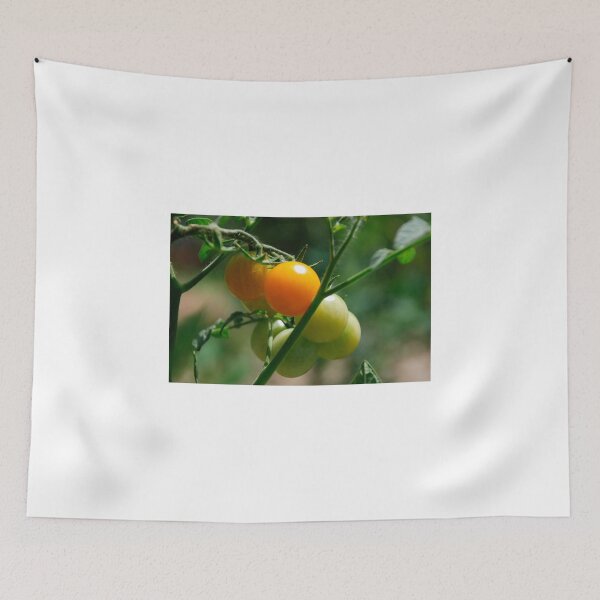 Item preview, Orange Tomatoes Ripening on the Vine designed and sold by jojobob.