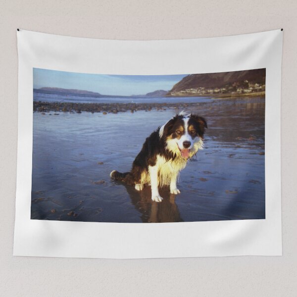 Item preview, The Joy of Laddie designed and sold by Michael Haslam.
