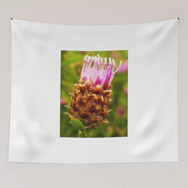 Item preview, Common knapweed designed and sold by mary02.