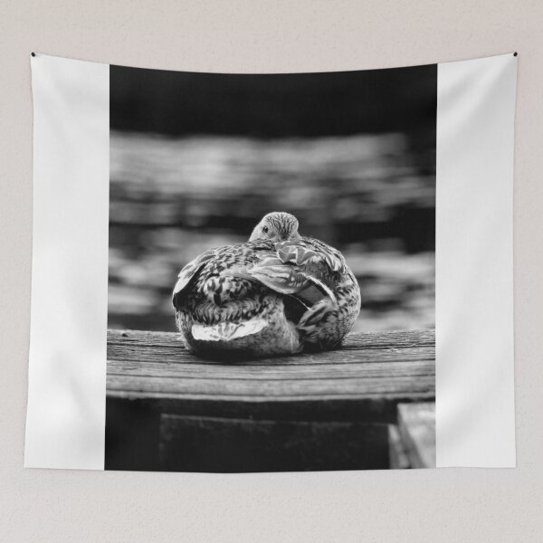 Item preview, Here's Lookin At You Kid! The Sequel! designed and sold by Wrayzo.