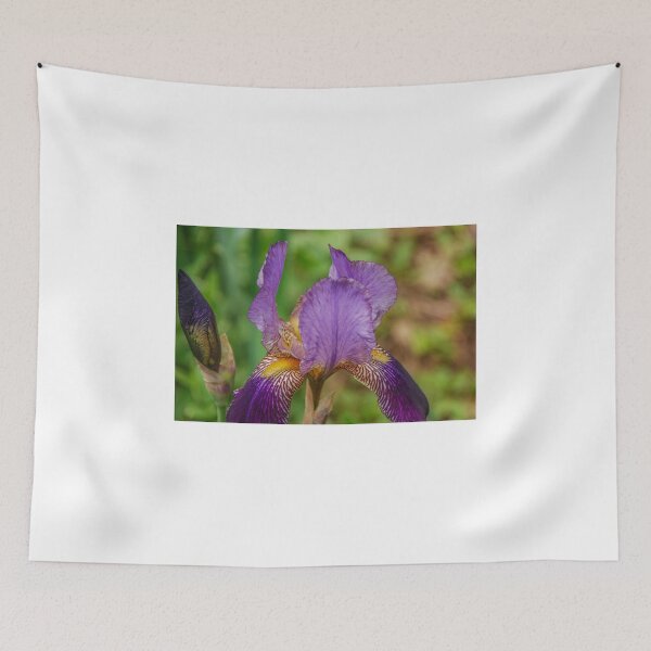 Item preview, Purple Bearded Iris designed and sold by mcstory.