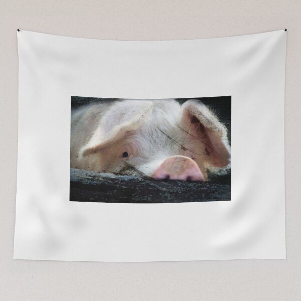 Item preview, Peeking Pig designed and sold by Clare Colins.