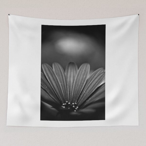 Item preview, Some Collapsing Star designed and sold by Denise Abé.