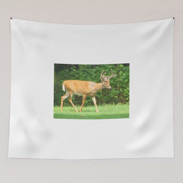 Item preview, Strollin' Through ~ designed and sold by Ginny York.