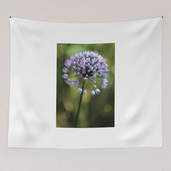 Item preview, Allium --- Lavender Millenium designed and sold by T.J. Martin.