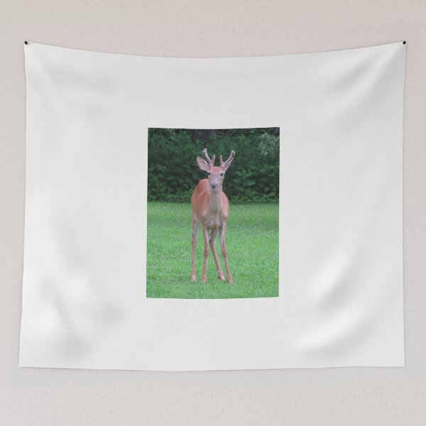 Item preview, Young Buck ~ For Viv (vigor) designed and sold by Ginny York.