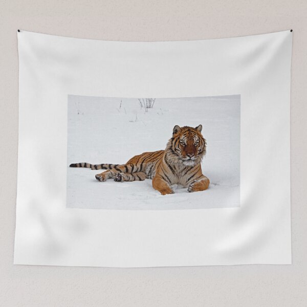 Item preview, Sberian tiger lying in the snow designed and sold by Jenny Hibbert.