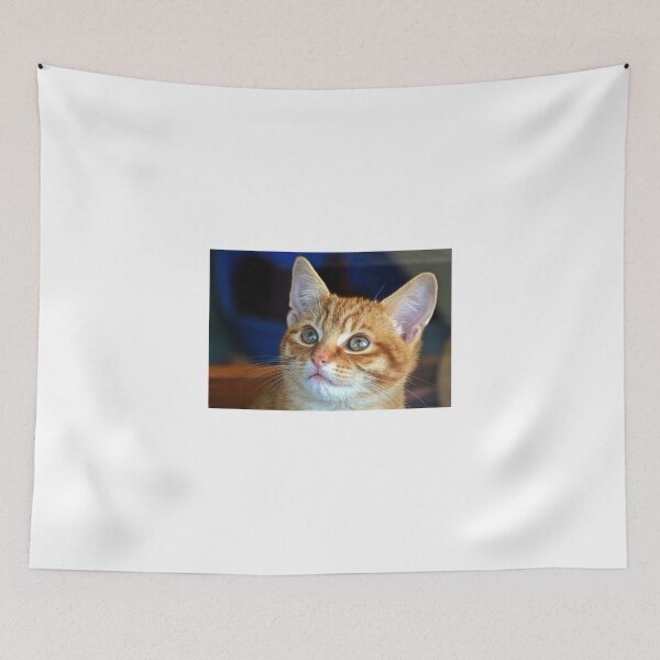 Item preview, How Can You Resist a Kitten like me,,,, designed and sold by lynn carter.