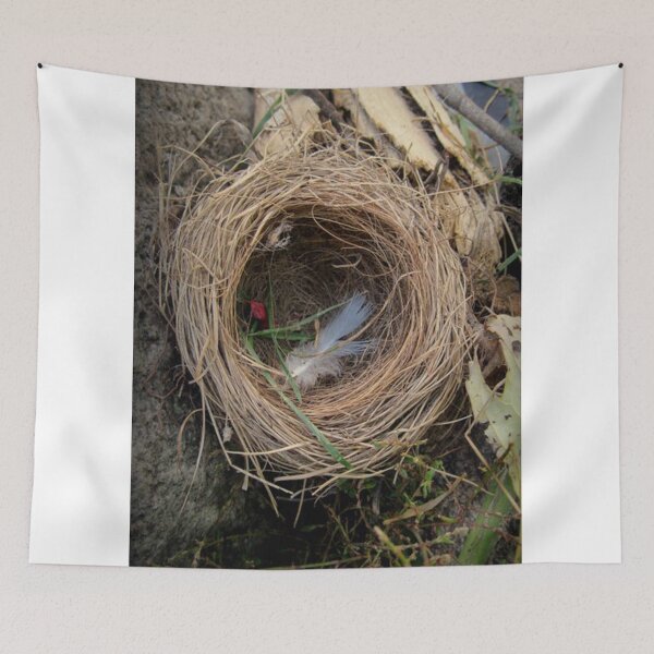 Item preview, empty nest designed and sold by jeugenet.