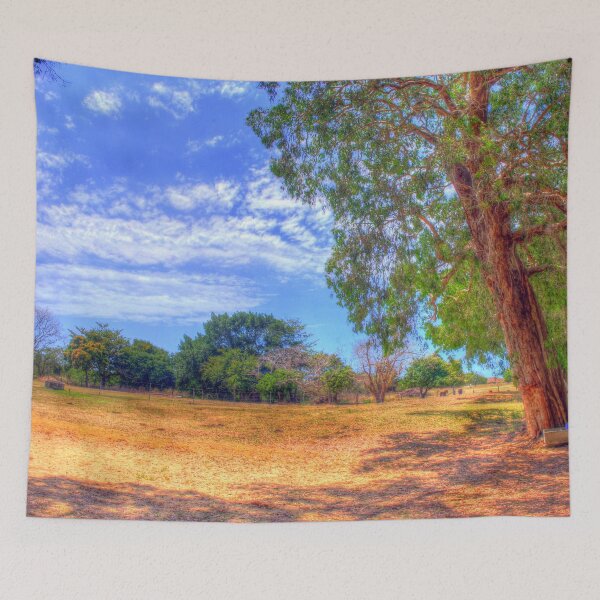 Item preview, Old tree designed and sold by Jayson Gaskell Photography.