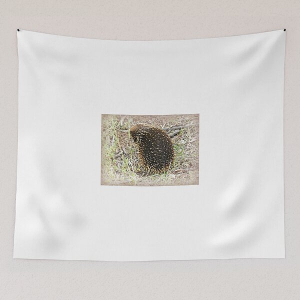 Item preview, *Echidna* Werribee Open Range Zoo - Vic. designed and sold by EdsMum.