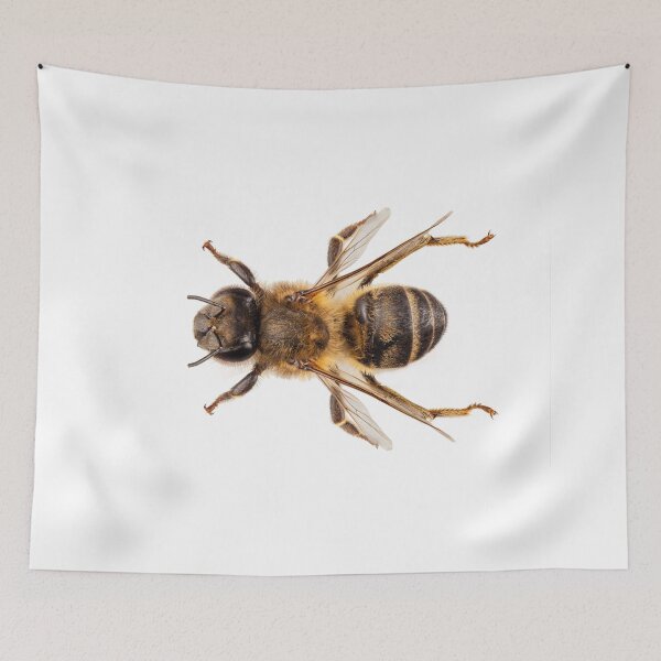 Item preview, Bee species apis mellifera common name Western honey bee or European honey bee designed and sold by paulrommer.