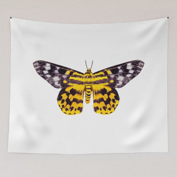 Item preview, butterfly moth Dysphania subrepleta isolated  designed and sold by paulrommer.