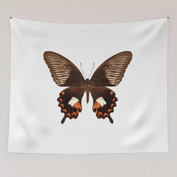 Item preview, Butterfly species papilio polytes mandane "Common Mormon" designed and sold by paulrommer.