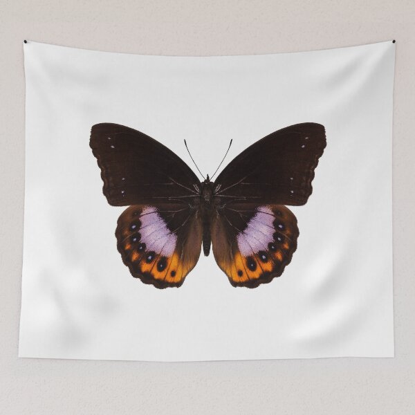 Item preview, Butterfly species hypolimnas pandarus designed and sold by paulrommer.