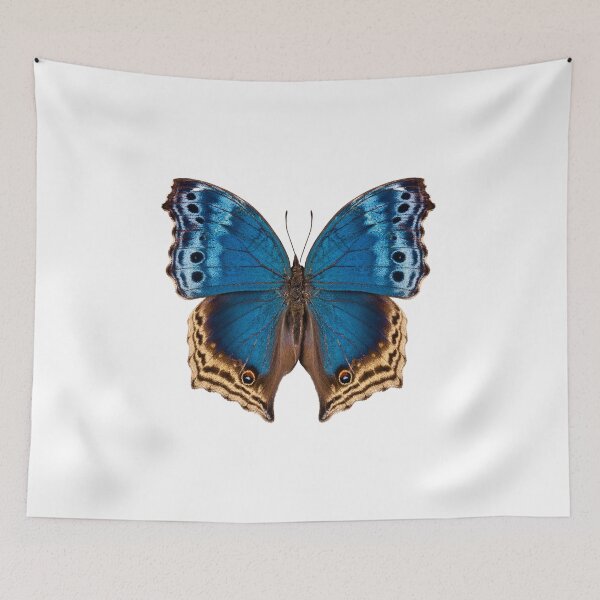 Item preview, Butterfly species Salamis temora "Mother-of-Pearls butterfly" designed and sold by paulrommer.
