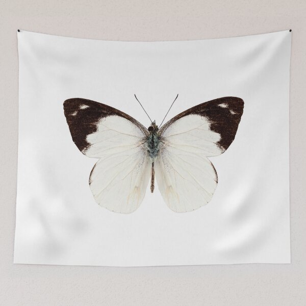 Item preview, White butterfly species Apias indra indra designed and sold by paulrommer.