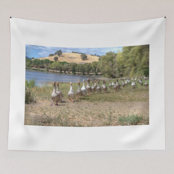 Item preview, Honk Honk! designed and sold by Diego Re.