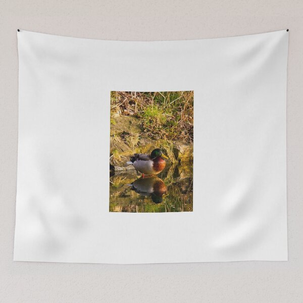 Item preview, Mallard in reflective mood designed and sold by Violaman.