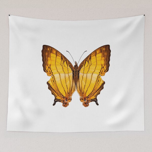Item preview, Butterfly species Cyrestis lutea "Orange Straight-line" designed and sold by paulrommer.